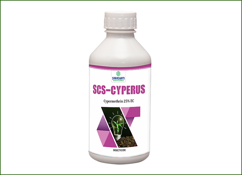 Manufacturer of SCS - CYPERUS in Ahmedabad