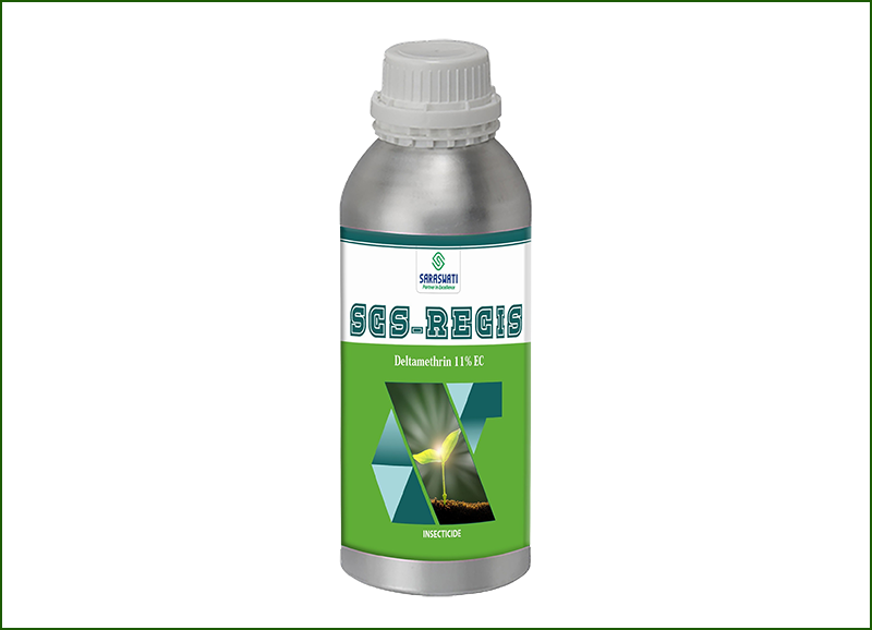 Manufacturer of SCS-RECIS in Ahmedabad