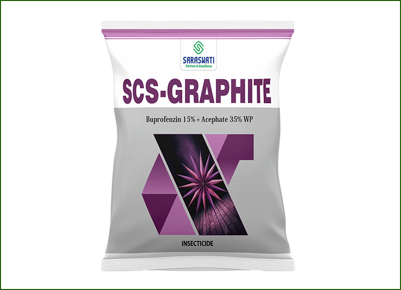 Manufacturer of SCS-GRAPHITE in Ahmedabad