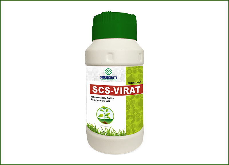 Manufacturer of SCS-VIRAT in Ahmedabad
