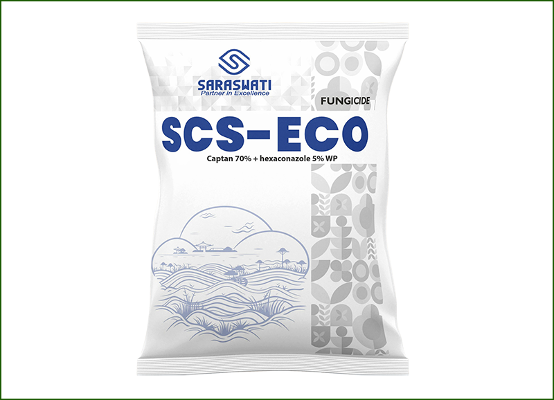 Manufacturer of SCS-ECO in Ahmedabad