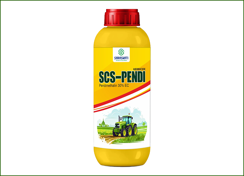 Manufacturer of SCS -PENDI in Ahmedabad