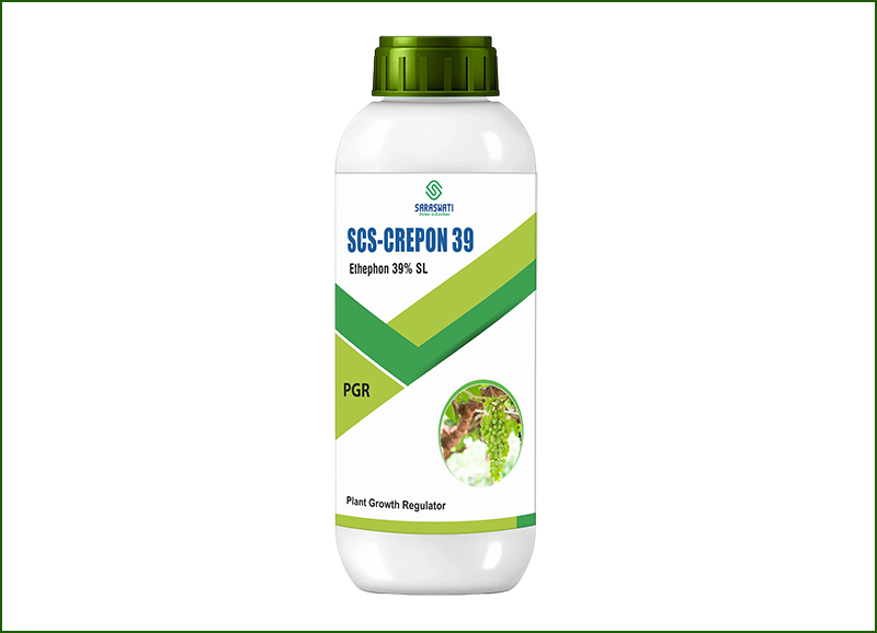 Manufacturer of SCS CREPON 39  in Ahmedabad